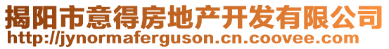 揭陽(yáng)市意得房地產(chǎn)開發(fā)有限公司