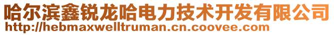 哈爾濱鑫銳龍哈電力技術(shù)開發(fā)有限公司