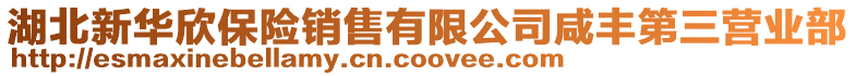 湖北新華欣保險(xiǎn)銷售有限公司咸豐第三營(yíng)業(yè)部