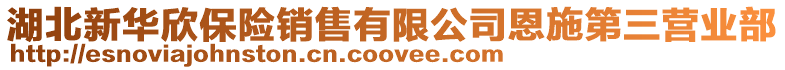 湖北新華欣保險(xiǎn)銷售有限公司恩施第三營業(yè)部