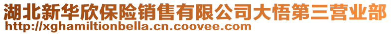 湖北新華欣保險(xiǎn)銷(xiāo)售有限公司大悟第三營(yíng)業(yè)部