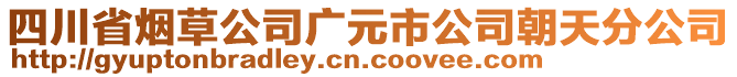 四川省煙草公司廣元市公司朝天分公司