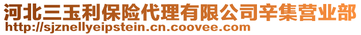 河北三玉利保险代理有限公司辛集营业部