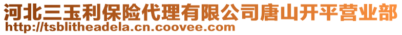 河北三玉利保險代理有限公司唐山開平營業(yè)部