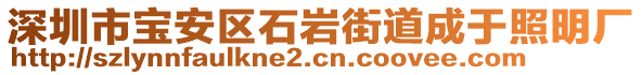 深圳市宝安区石岩街道成于照明厂