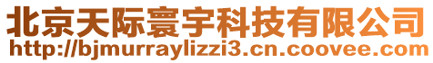 北京天際寰宇科技有限公司