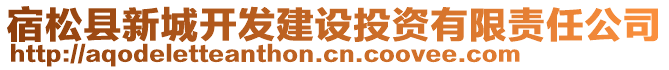 宿松縣新城開(kāi)發(fā)建設(shè)投資有限責(zé)任公司