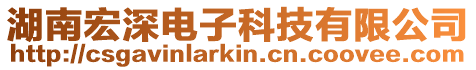 湖南宏深電子科技有限公司