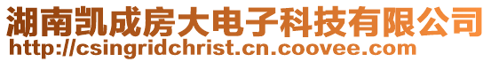 湖南凱成房大電子科技有限公司