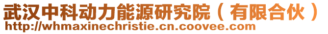 武漢中科動力能源研究院（有限合伙）