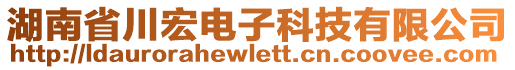 湖南省川宏電子科技有限公司