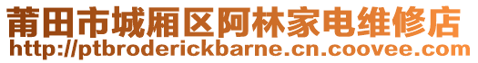 莆田市城廂區(qū)阿林家電維修店