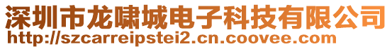 深圳市龍嘯城電子科技有限公司