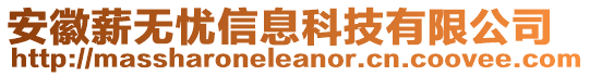 安徽薪無憂信息科技有限公司