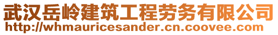 武漢岳嶺建筑工程勞務有限公司