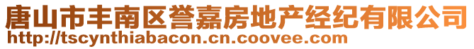 唐山市豐南區(qū)譽(yù)嘉房地產(chǎn)經(jīng)紀(jì)有限公司