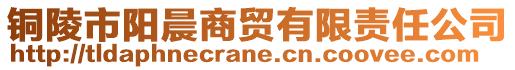 銅陵市陽晨商貿有限責任公司