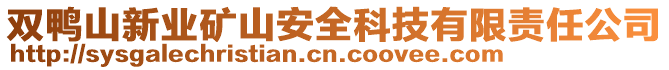 雙鴨山新業(yè)礦山安全科技有限責任公司