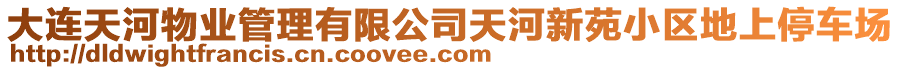 大連天河物業(yè)管理有限公司天河新苑小區(qū)地上停車場