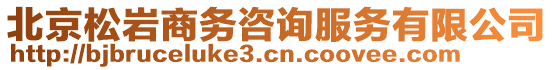 北京松巖商務(wù)咨詢服務(wù)有限公司