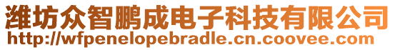 濰坊眾智鵬成電子科技有限公司