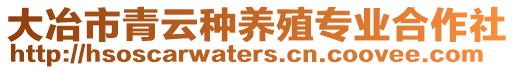 大冶市青云種養(yǎng)殖專業(yè)合作社