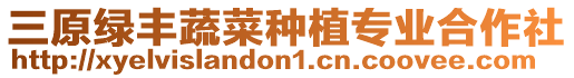 三原綠豐蔬菜種植專業(yè)合作社