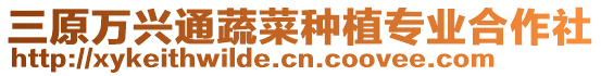 三原萬興通蔬菜種植專業合作社