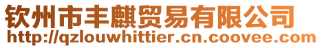 欽州市豐麒貿易有限公司
