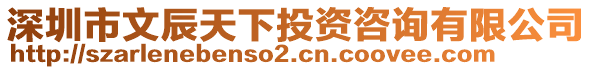 深圳市文辰天下投資咨詢有限公司