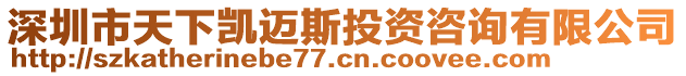 深圳市天下凱邁斯投資咨詢有限公司