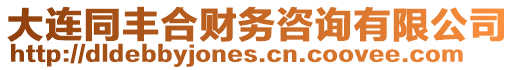 大連同豐合財務咨詢有限公司