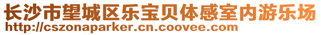 長沙市望城區(qū)樂寶貝體感室內(nèi)游樂場