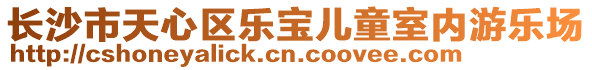 長沙市天心區(qū)樂寶兒童室內游樂場