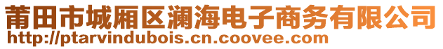 莆田市城廂區(qū)瀾海電子商務(wù)有限公司