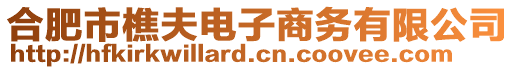 合肥市樵夫電子商務有限公司