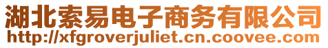 湖北索易電子商務有限公司
