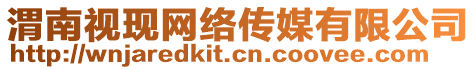 渭南視現(xiàn)網(wǎng)絡傳媒有限公司