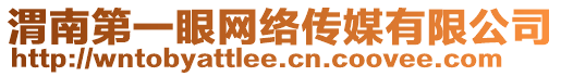 渭南第一眼網(wǎng)絡(luò)傳媒有限公司