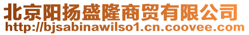 北京陽(yáng)揚(yáng)盛隆商貿(mào)有限公司