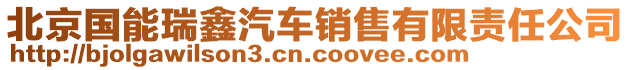 北京國(guó)能瑞鑫汽車銷售有限責(zé)任公司