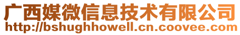 广西媒微信息技术有限公司