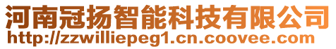 河南冠揚智能科技有限公司