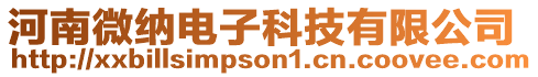 河南微納電子科技有限公司