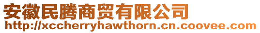 安徽民騰商貿(mào)有限公司