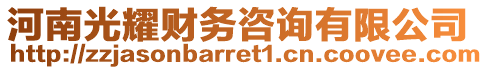 河南光耀財(cái)務(wù)咨詢有限公司