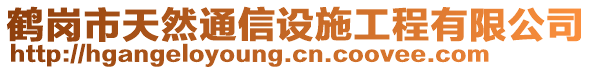 鶴崗市天然通信設(shè)施工程有限公司