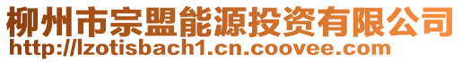 柳州市宗盟能源投資有限公司