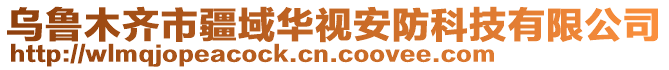 烏魯木齊市疆域華視安防科技有限公司