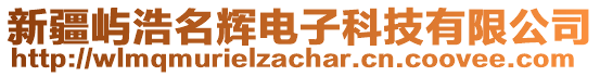 新疆嶼浩名輝電子科技有限公司